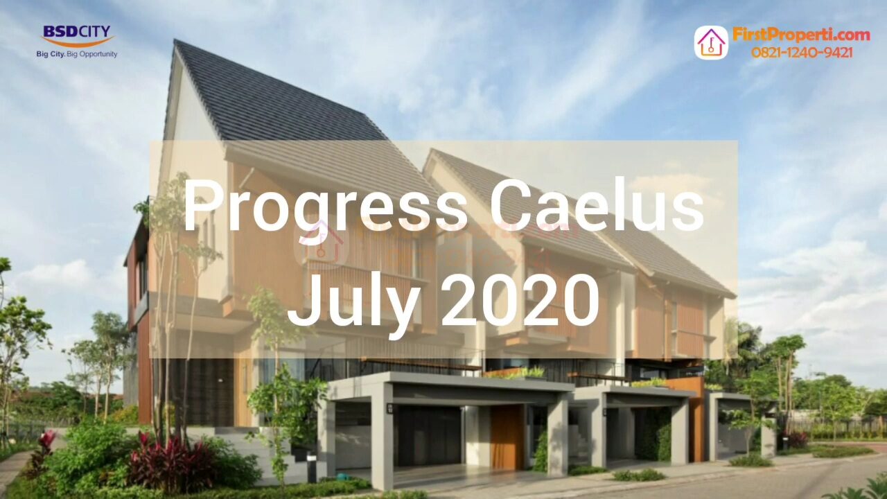 progress caelus July 2020