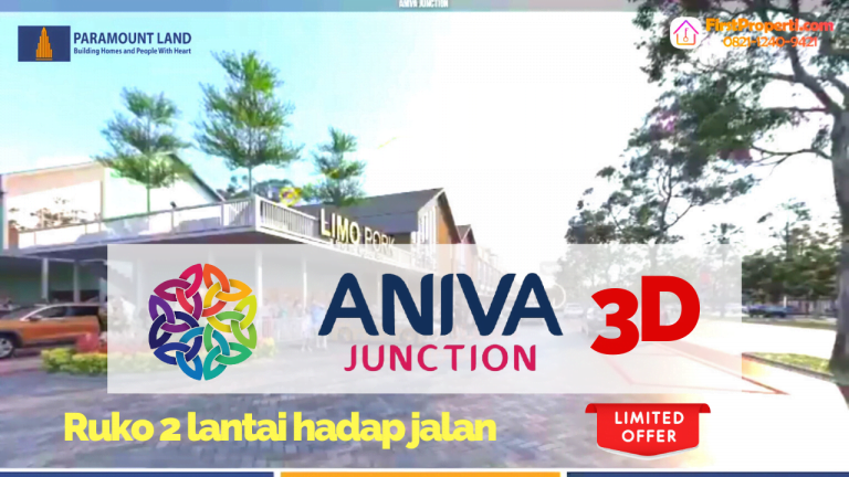 Aniva Junction 3D Video
